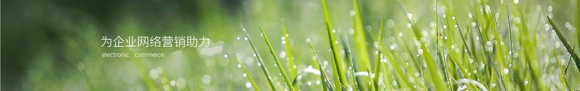 ݸбصӲ޹˾